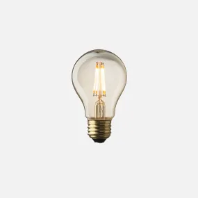 A19 Filament LED Bulb