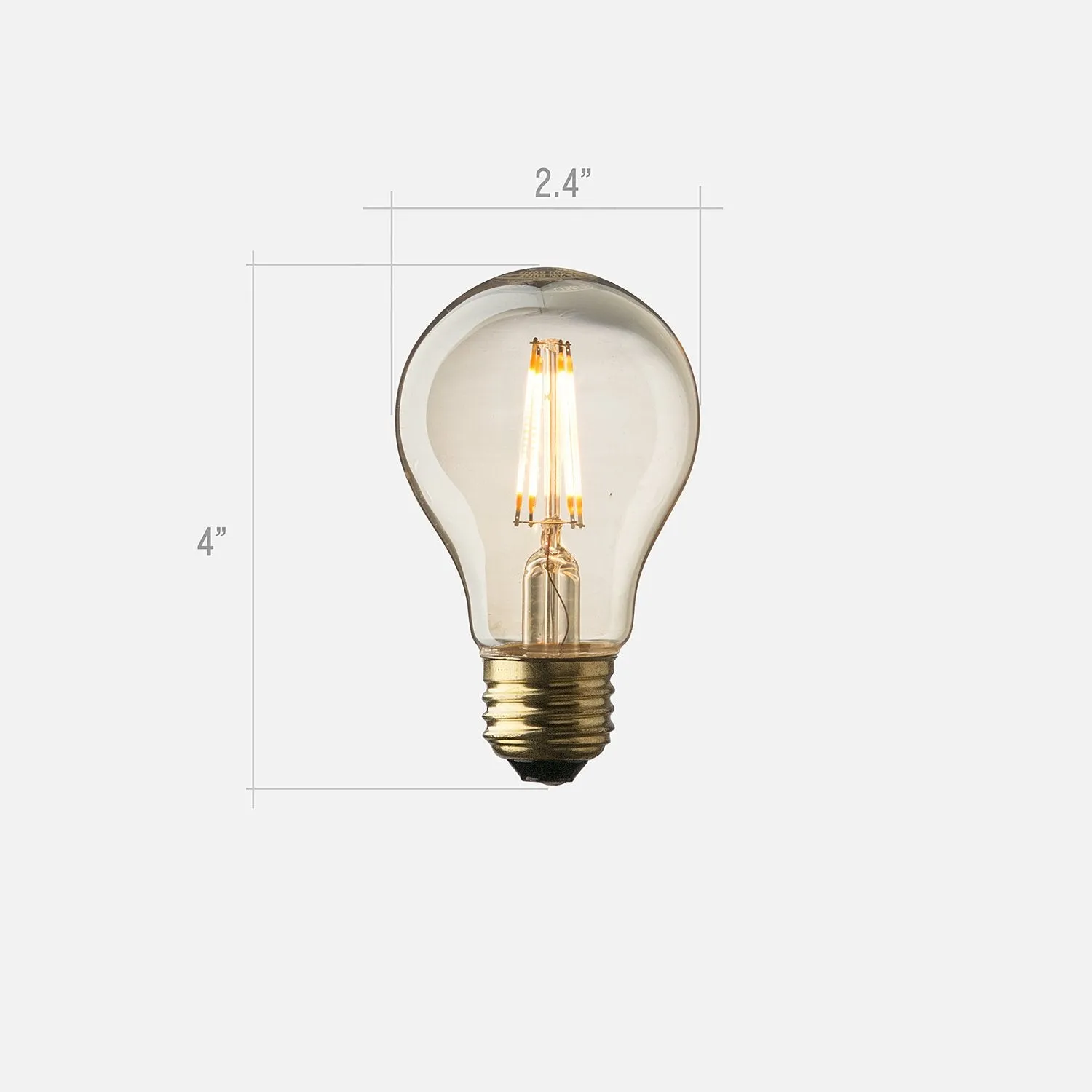 A19 Filament LED Bulb