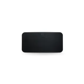 Bluesound PULSE MINI 2i Speaker