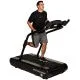 WoodWay Mercury S Treadmill